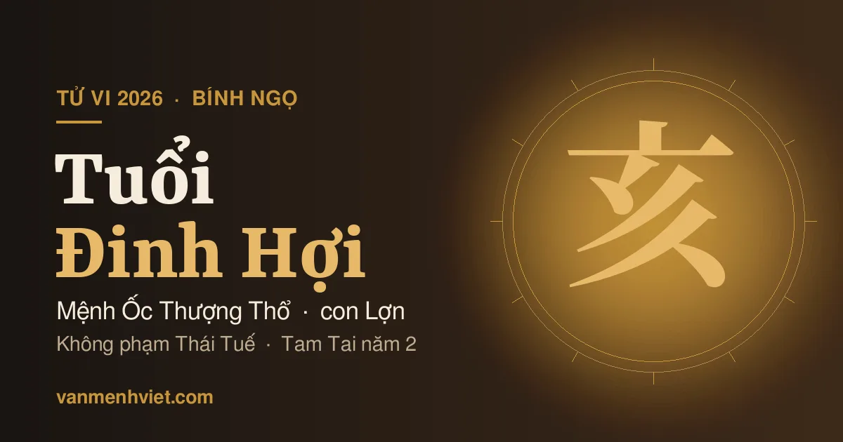 Tử Vi 2026 Tuổi Đinh Hợi 1947, 2007: Mệnh Ốc Thượng Thổ, Phạm Tam Tai