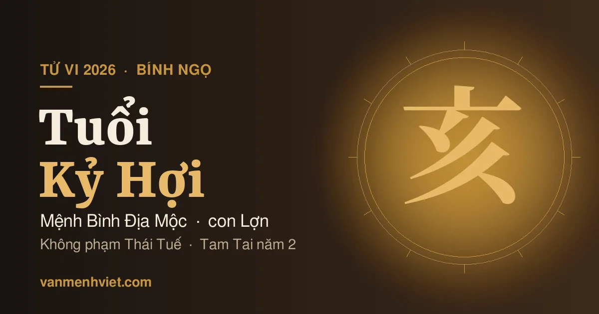 Tử Vi 2026 Tuổi Kỷ Hợi 1959: Mệnh Bình Địa Mộc, Phạm Tam Tai